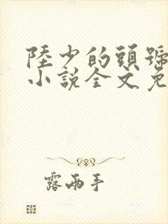 陆少的头号宠婚小说全文免费阅读