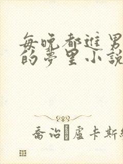 每晚都进男神们的梦里小说封面