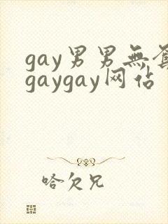 gay男男无套gaygay网站封面