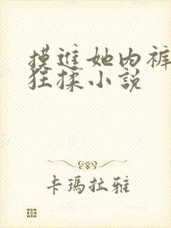 摸进她内裤里疯狂揉小说封面