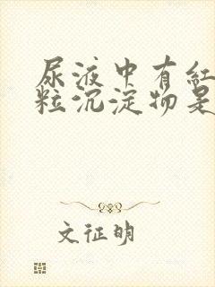 尿液中有红色颗粒沉淀物是什么原因