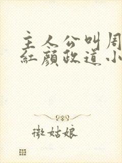 主人公叫周平的红颜政道小说