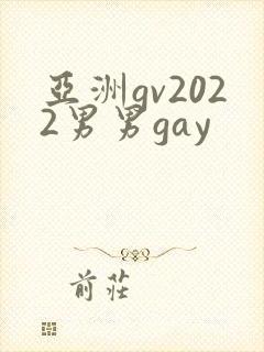 亚洲gv2022男男gay