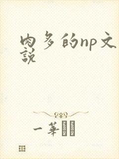 肉多的np文小说