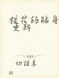 校花的贴身高手 更新