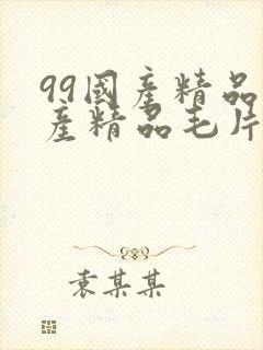 99国产精品国产精品毛片封面