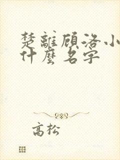 楚离顾洛小说叫什么名字