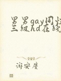 男男gay同性三级hd在线