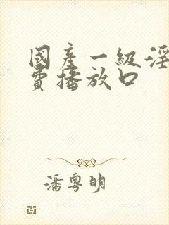 国产一级淫片免费播放口