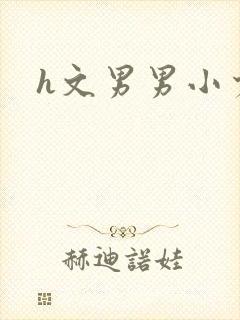 h文男男小少爷封面