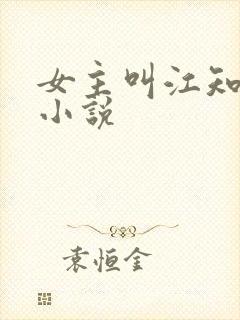 女主叫江知意的小说