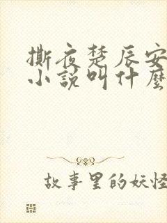 撕夜楚辰安原著小说叫什么封面