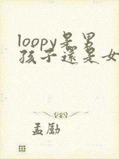 loopy是男孩子还是女孩子