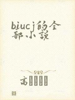 biucj的全部小说