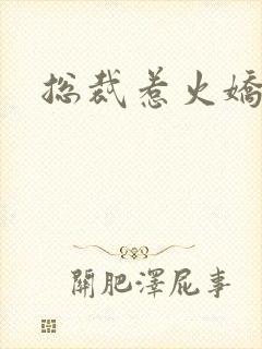 总裁惹火娇妻封面