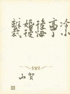 离婚后高冷女总裁后悔了小说笔趣