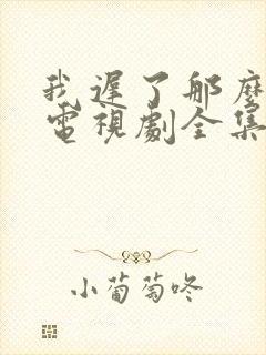 我迟了那么多年电视剧全集免费播放