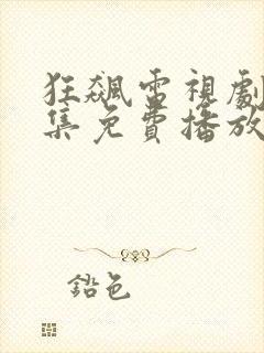 狂飙电视剧40集免费播放在线