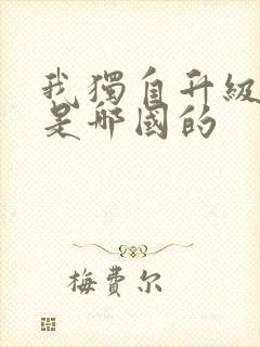 我独自升级漫画是哪国的