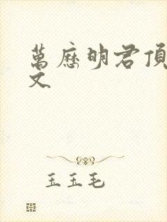 万历明君顶点中文封面