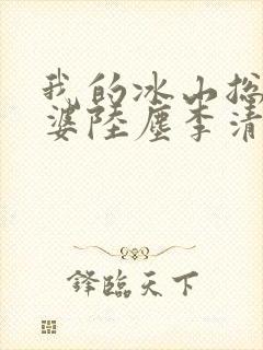 我的冰山总裁老婆陆尘李清瑶免费阅读