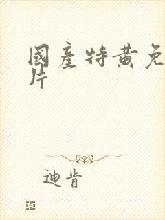 国产特黄免费大片