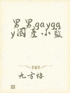 男男gaygay国产小蓝