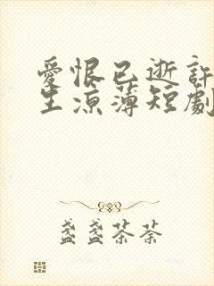 爱恨已逝许我半生凉薄短剧封面