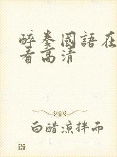 醉拳国语在线观看高清