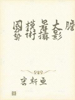 国模最大胆人体艺术摄影