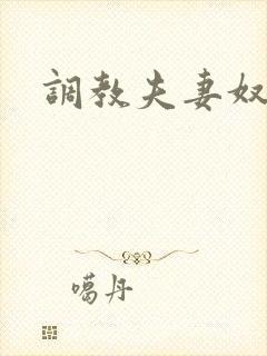 调教夫妻奴小说