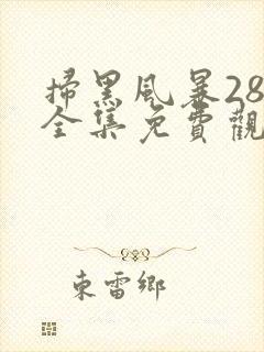 扫黑风暴28集全集免费观看封面