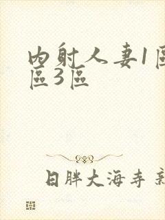 内射人妻1区2区3区