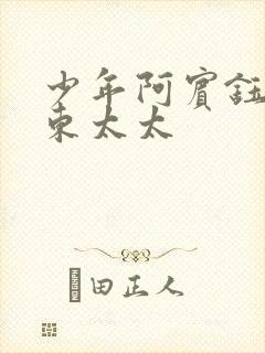 少年阿宾钰慧房东太太封面