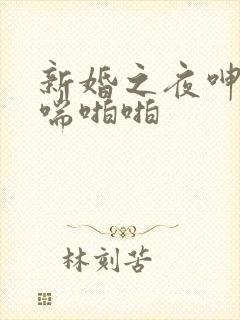 新婚之夜呻吟娇喘啪啪