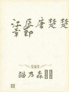 江辰唐楚楚最新章节