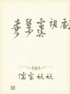 老舅电视剧一共多少集