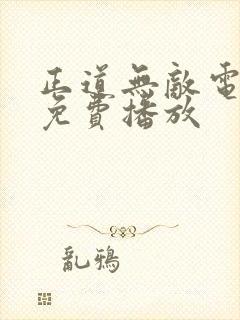 正道无敌电视剧免费播放封面