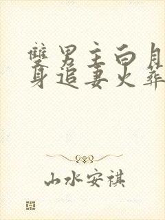 双男主白月光替身追妻火葬场