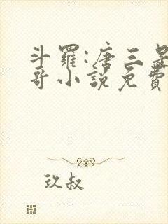 斗罗:唐三是我哥小说免费阅读封面