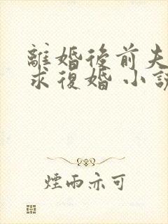 离婚后前夫哭着求复婚 小说阅读