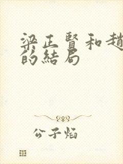 梁正贤和赵静语的结局封面