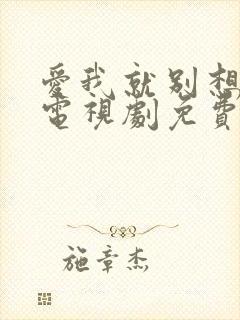 爱我就别想太多电视剧免费观看完整版封面