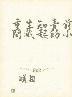 重生知青前把空间藏起的小说封面