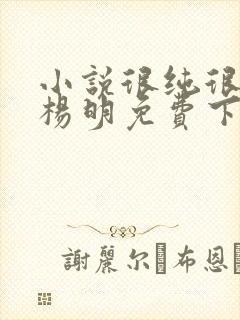 小说很纯很暧昧杨明免费下载封面