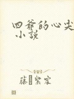 四爷的心尖宠妃 小说