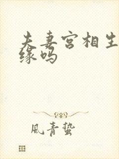 夫妻宫相生是正缘吗