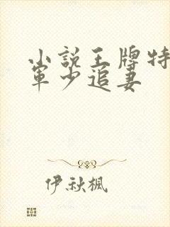 小说王牌特战之军少追妻