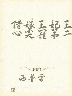 错嫁王妃王爷的心尖宠第二季