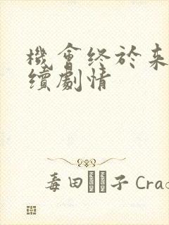 机会终于来了后续剧情